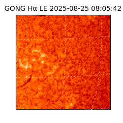 gong - 2025-08-25T08:05:42