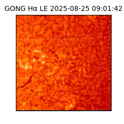 gong - 2025-08-25T09:01:42