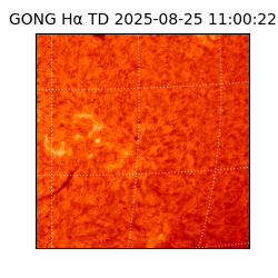 gong - 2025-08-25T11:00:22