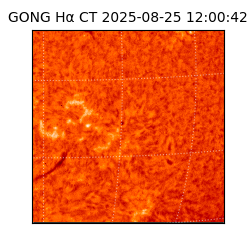 gong - 2025-08-25T12:00:42