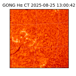 gong - 2025-08-25T13:00:42