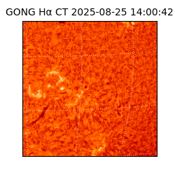 gong - 2025-08-25T14:00:42