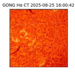 gong - 2025-08-25T16:00:42