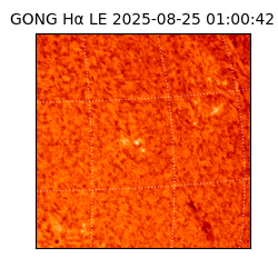 gong - 2025-08-25T01:00:42