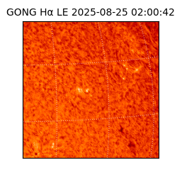 gong - 2025-08-25T02:00:42