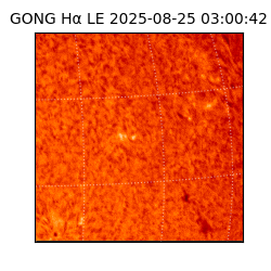 gong - 2025-08-25T03:00:42