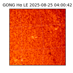 gong - 2025-08-25T04:00:42
