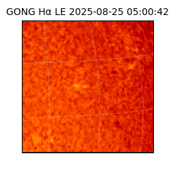 gong - 2025-08-25T05:00:42