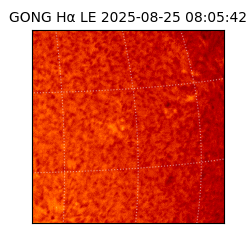 gong - 2025-08-25T08:05:42