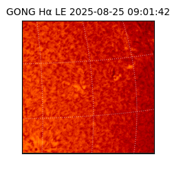 gong - 2025-08-25T09:01:42