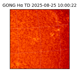 gong - 2025-08-25T10:00:22