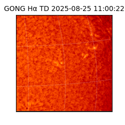gong - 2025-08-25T11:00:22