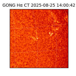 gong - 2025-08-25T14:00:42