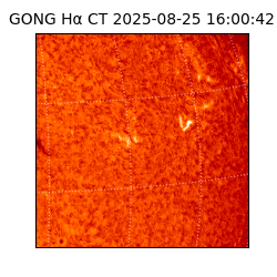 gong - 2025-08-25T16:00:42