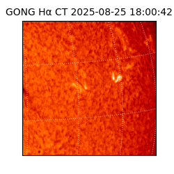 gong - 2025-08-25T18:00:42