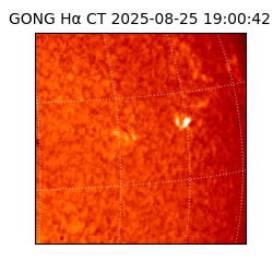 gong - 2025-08-25T19:00:42