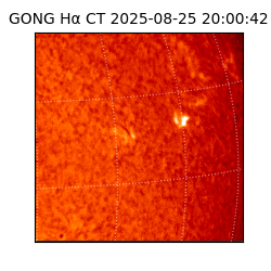 gong - 2025-08-25T20:00:42