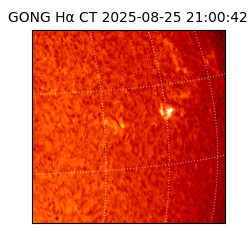 gong - 2025-08-25T21:00:42