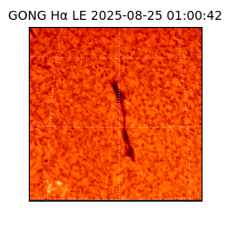gong - 2025-08-25T01:00:42