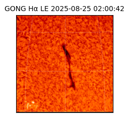 gong - 2025-08-25T02:00:42