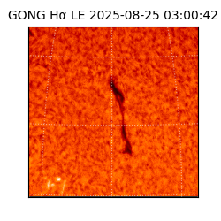 gong - 2025-08-25T03:00:42