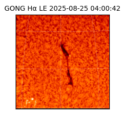 gong - 2025-08-25T04:00:42