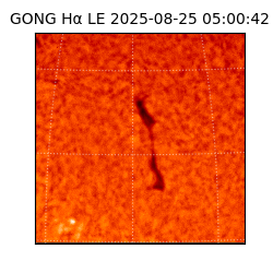 gong - 2025-08-25T05:00:42