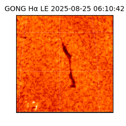 gong - 2025-08-25T06:10:42
