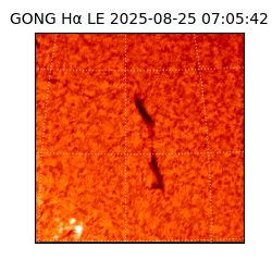 gong - 2025-08-25T07:05:42