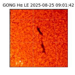 gong - 2025-08-25T09:01:42