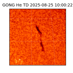 gong - 2025-08-25T10:00:22