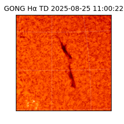 gong - 2025-08-25T11:00:22