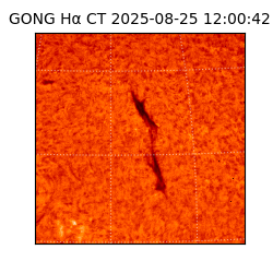 gong - 2025-08-25T12:00:42