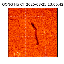 gong - 2025-08-25T13:00:42