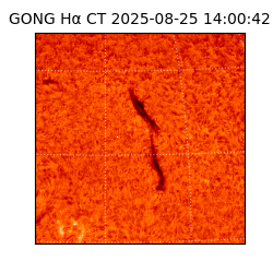 gong - 2025-08-25T14:00:42