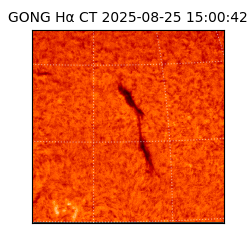 gong - 2025-08-25T15:00:42