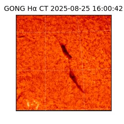 gong - 2025-08-25T16:00:42