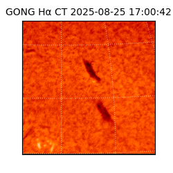 gong - 2025-08-25T17:00:42