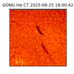 gong - 2025-08-25T18:00:42