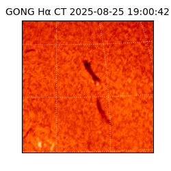 gong - 2025-08-25T19:00:42