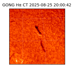 gong - 2025-08-25T20:00:42