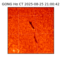 gong - 2025-08-25T21:00:42