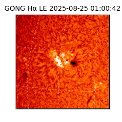 gong - 2025-08-25T01:00:42