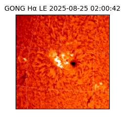 gong - 2025-08-25T02:00:42