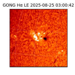 gong - 2025-08-25T03:00:42