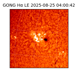 gong - 2025-08-25T04:00:42