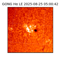 gong - 2025-08-25T05:00:42