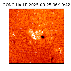 gong - 2025-08-25T06:10:42