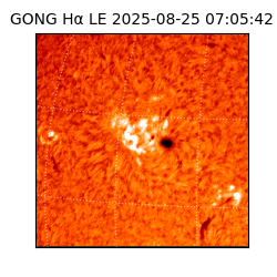 gong - 2025-08-25T07:05:42