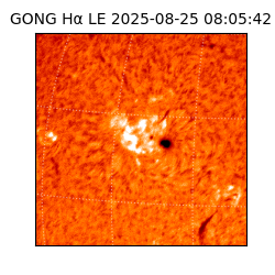 gong - 2025-08-25T08:05:42